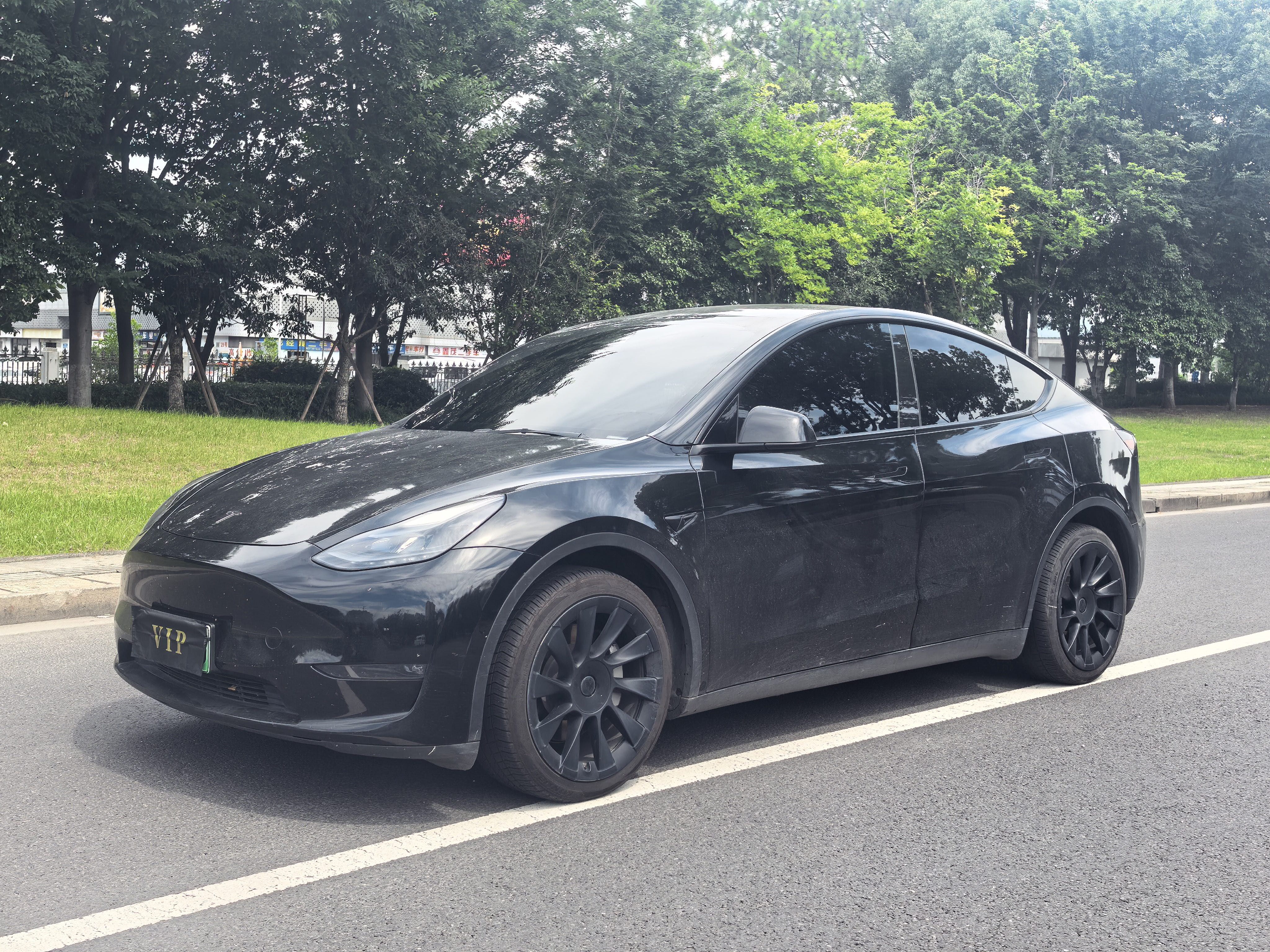 Tesla Model Y 2021 Tesla Model Y 2021 car image