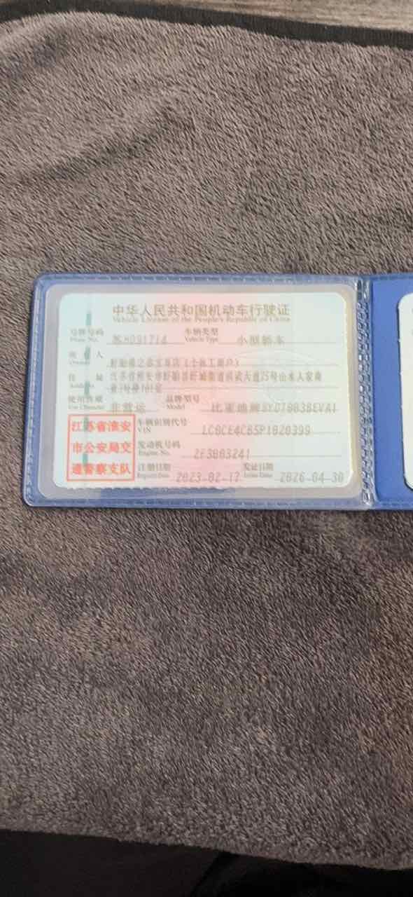 BYD Yuan Plus 2023 car image #2