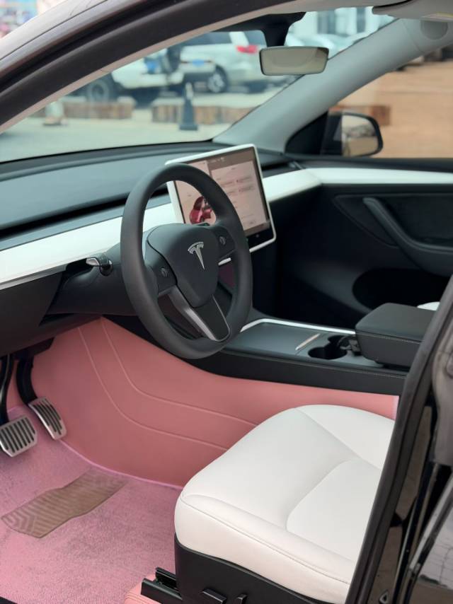 Tesla Model Y 2023 #9 Tesla Model Y 2023 car image #9