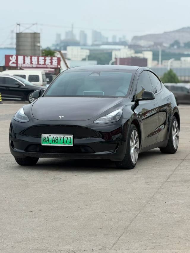 Tesla Model Y 2023 Tesla Model Y 2023 car image