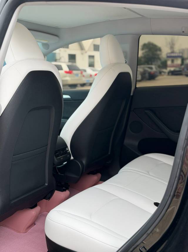 Tesla Model Y 2023 #10 Tesla Model Y 2023 car image #10