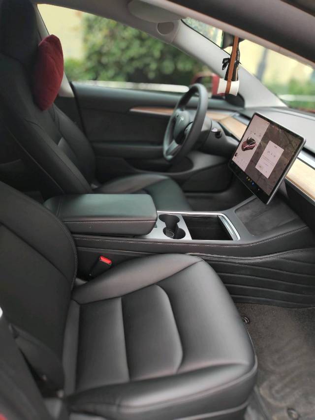 Tesla Model 3 2021 car image #7