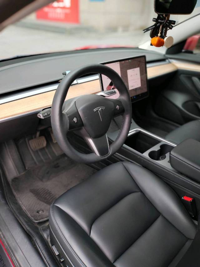 Tesla Model 3 2021 car image #8