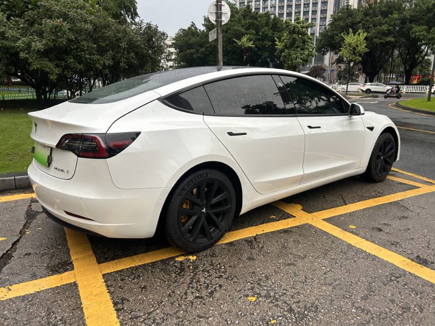 Tesla Model 3 (Imported) 2020 immagine di auto #6