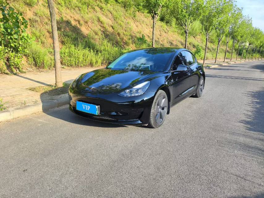 Tesla Model 3 2022 Tesla Model 3 2022 car image