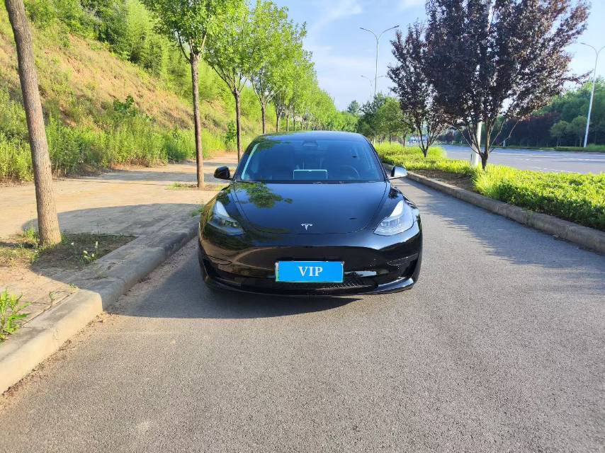 Tesla Model 3 2022 #4 Tesla Model 3 2022 car image #4