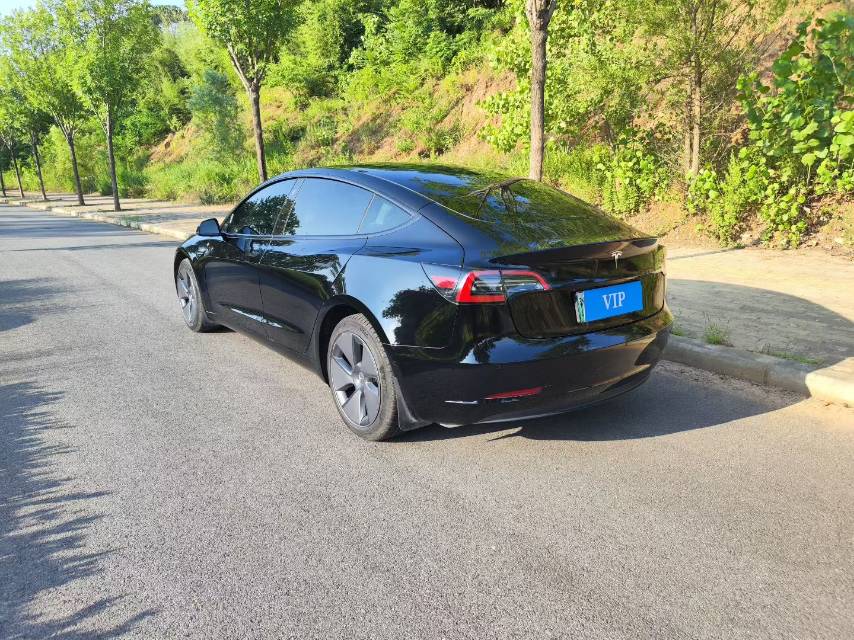 Tesla Model 3 2022 #10 Tesla Model 3 2022 car image #10