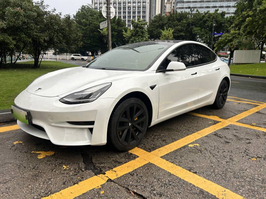 Tesla Model 3 (Imported) 2020 immagine di auto #2