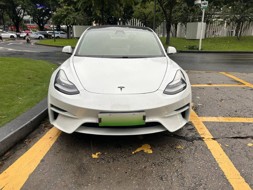 Tesla Model 3 (Imported) 2020 immagine di auto #4