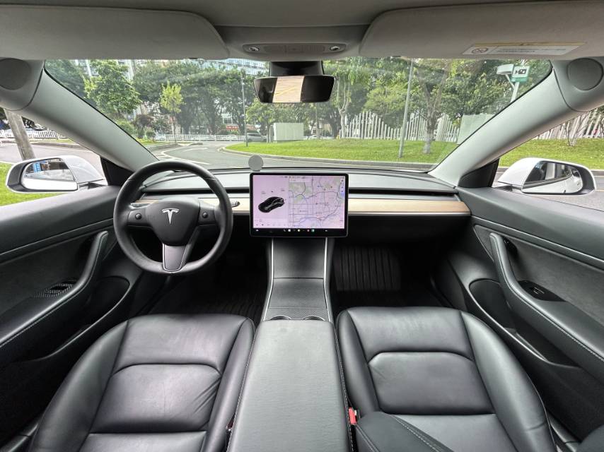 Tesla Model 3 (Imported) 2020 immagine di auto #10