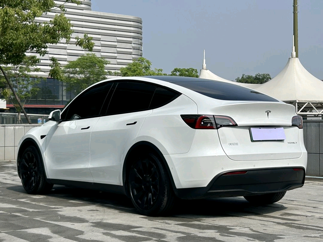 Tesla Model Y 2023 #10 Tesla Model Y 2023 car image #10