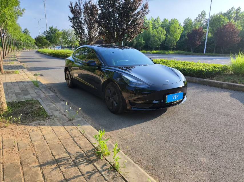 Tesla Model 3 2022 #3 Tesla Model 3 2022 car image #3