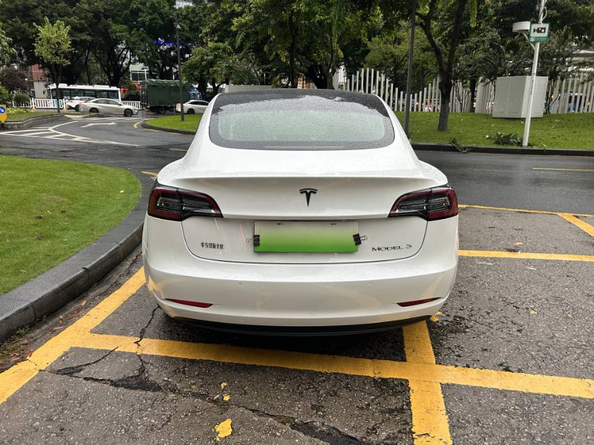 Tesla Model 3 (Imported) 2020 immagine di auto #7