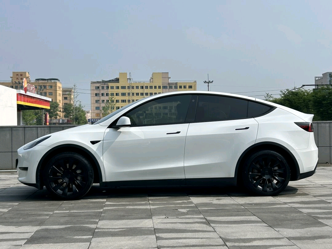 Tesla Model Y 2023 #8 Tesla Model Y 2023 car image #8