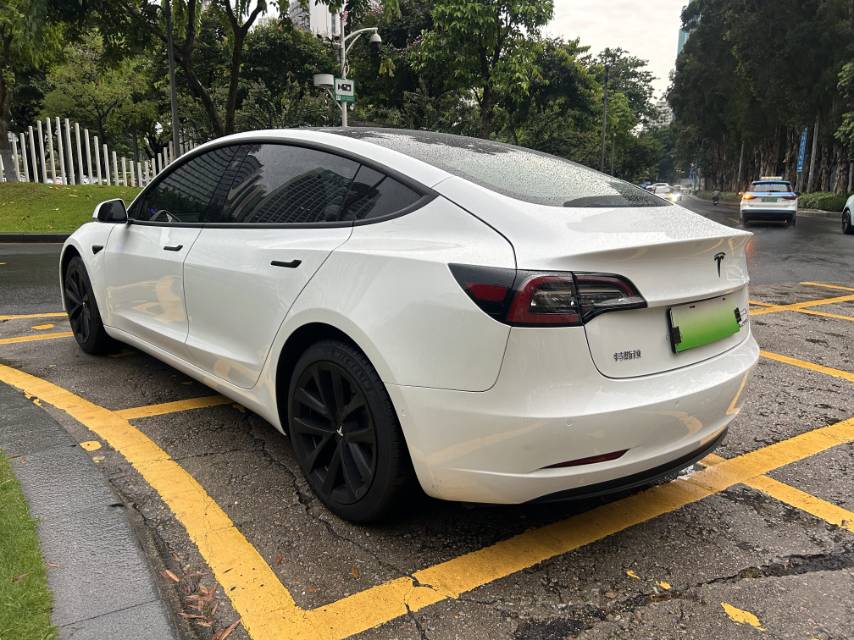 Tesla Model 3 (Imported) 2020 immagine di auto #8
