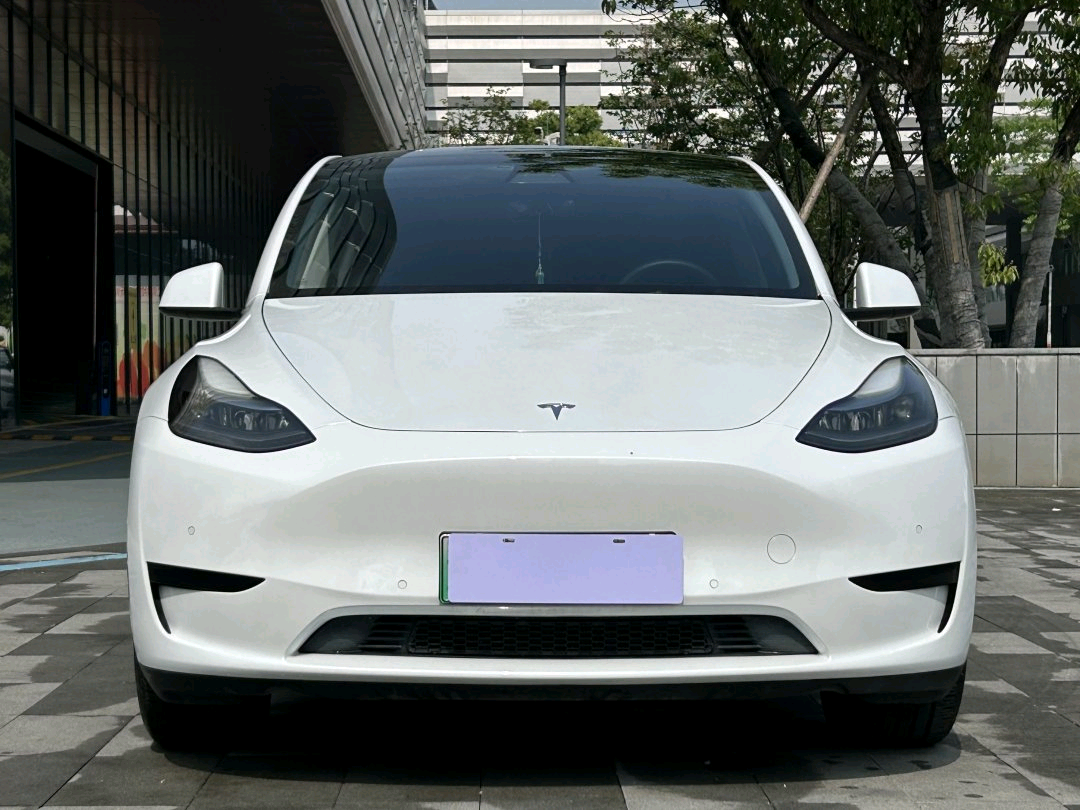 Tesla Model Y 2023 #4 Tesla Model Y 2023 car image #4