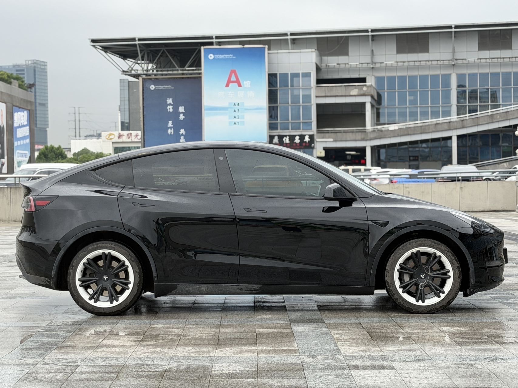 Tesla Model Y 2023 car image #8