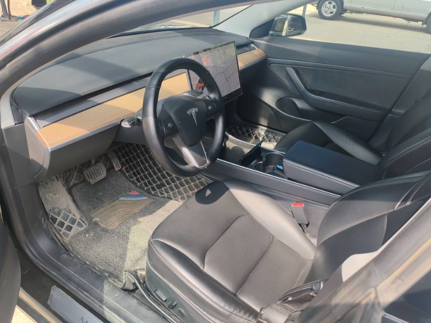Tesla Model 3 2020 car image #6