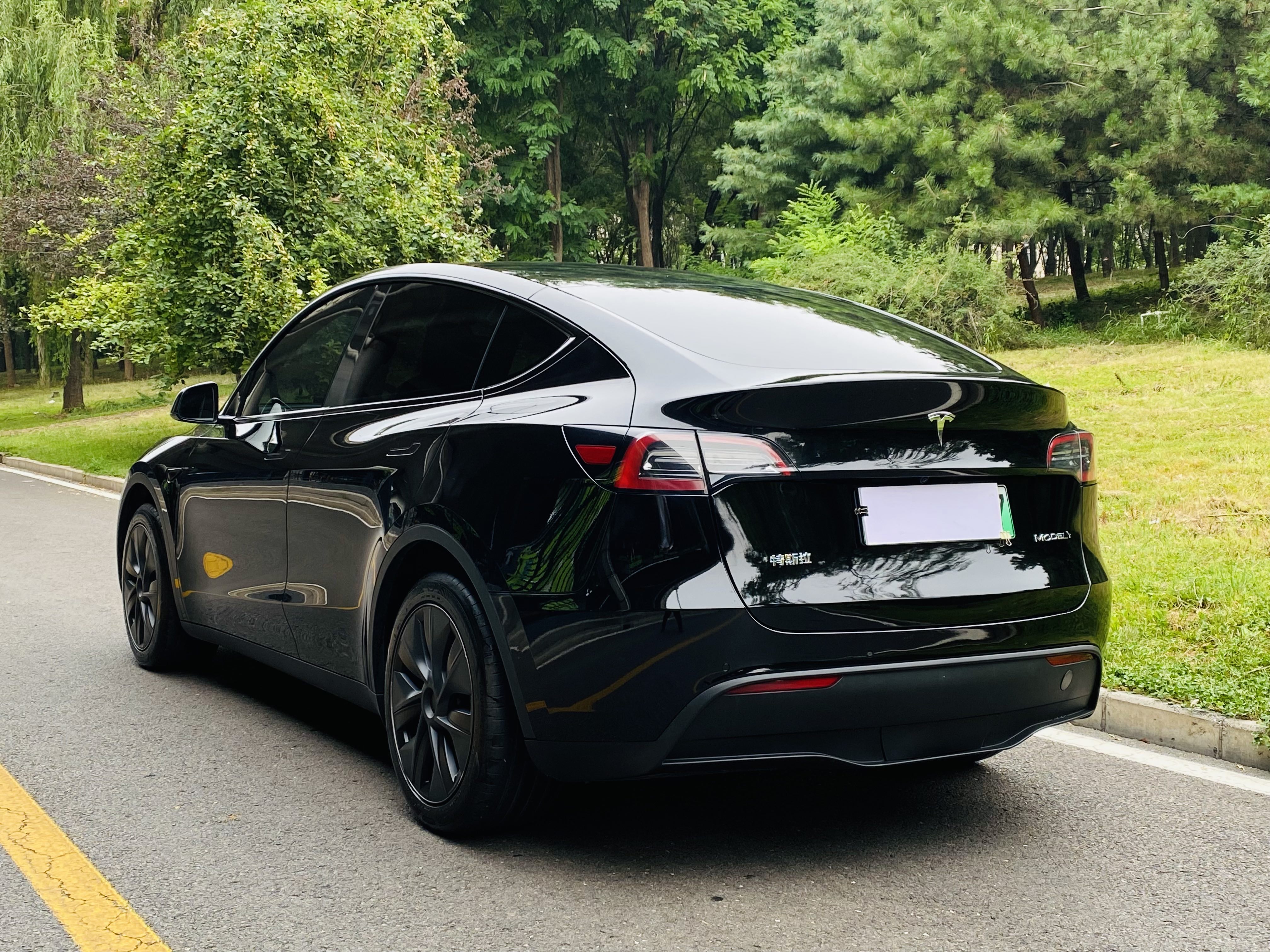 Tesla Model Y 2023 #6 Tesla Model Y 2023 car image #6
