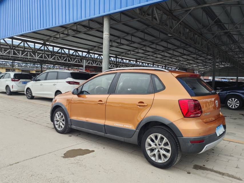 Volkswagen Polo 2014 car image #6