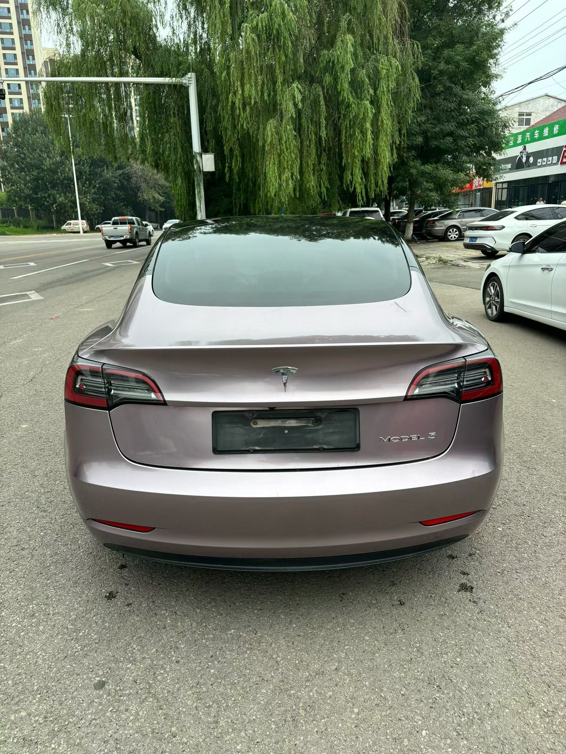 Tesla Model 3 2021 car image #4