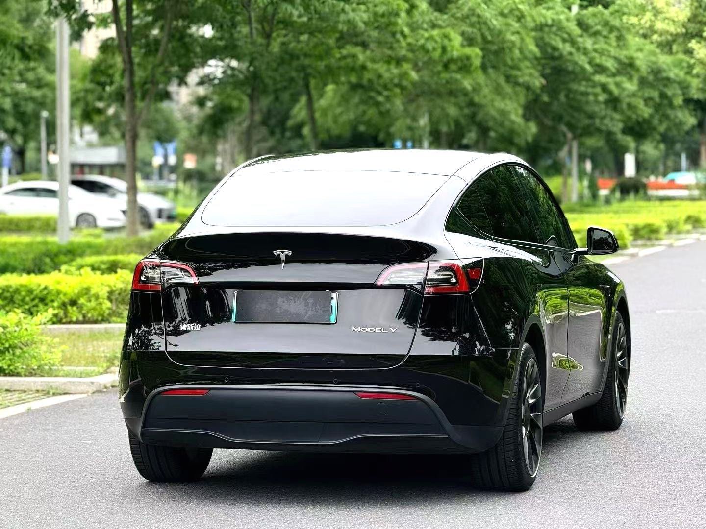 Tesla Model Y 2022 #10 Tesla Model Y 2022 car image #10
