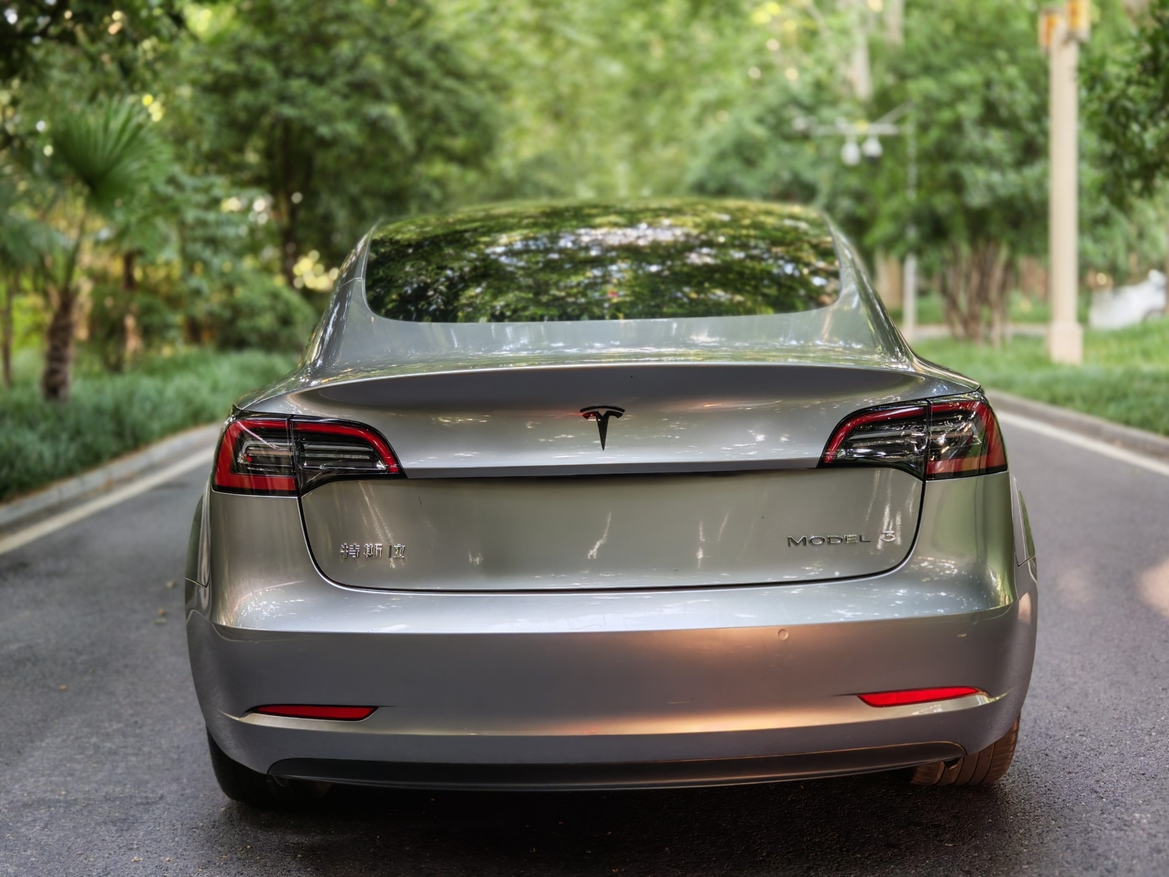 Tesla Model 3 2023 immagine di auto #7