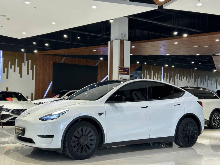 Tesla Model Y 2022 car image #2