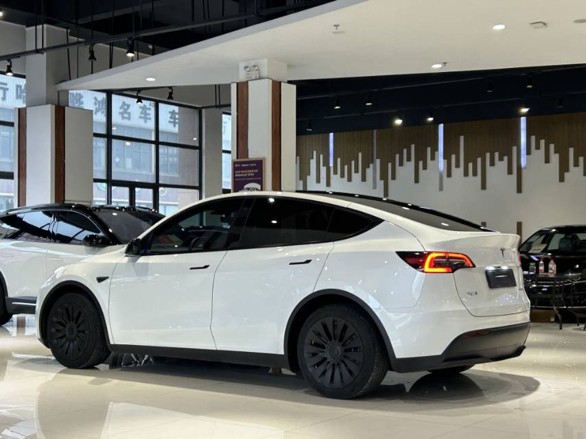 Tesla Model Y 2022 car image #11