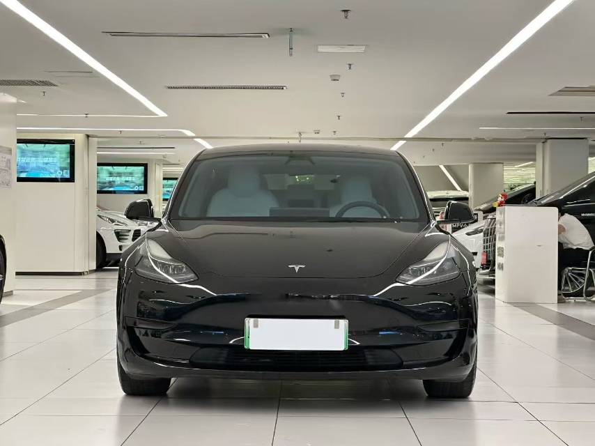 Tesla Model 3 2021 immagine di auto #4
