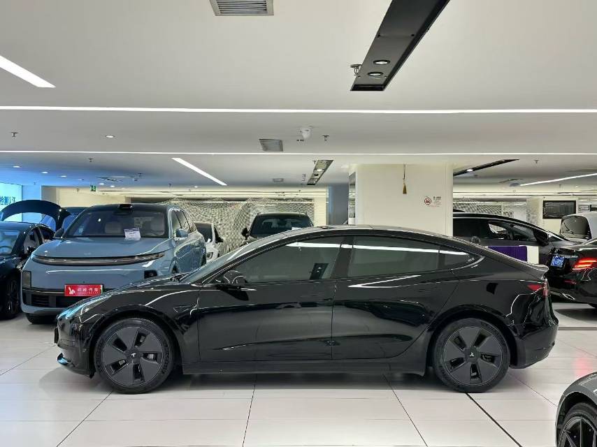 Tesla Model 3 2021 immagine di auto #5