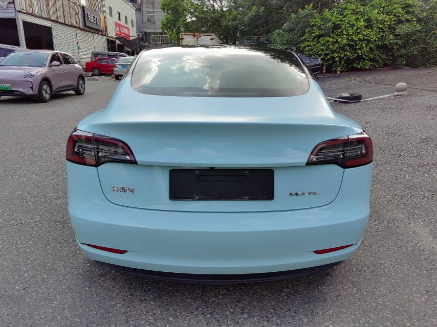 Tesla Model 3 2020 car image #6