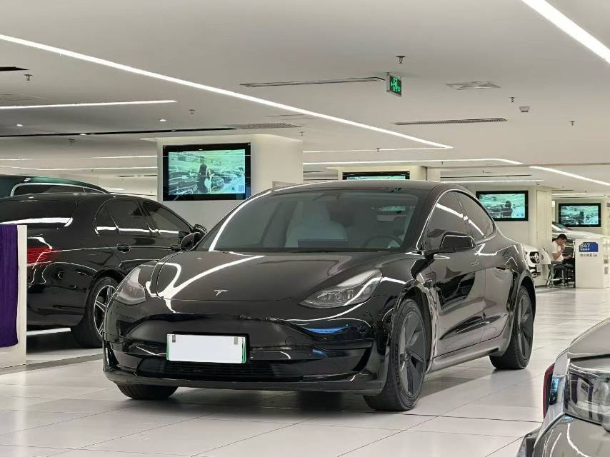 Tesla Model 3 2021 immagine di auto #2