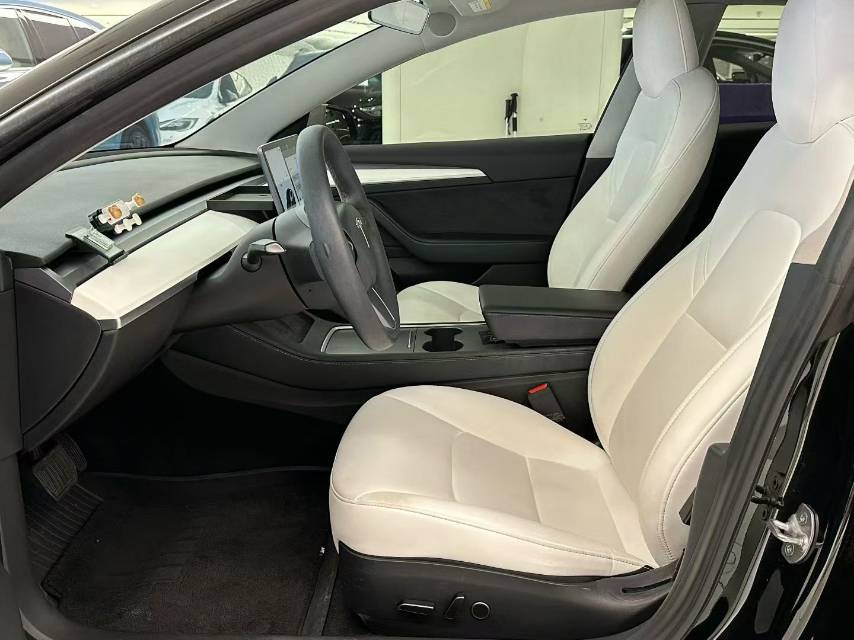 Tesla Model 3 2021 immagine di auto #6