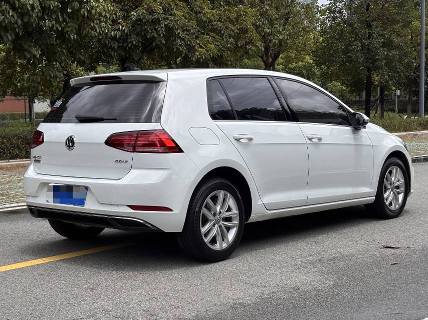 Volkswagen Golf 2019 #9 Volkswagen Golf 2019 car image #9