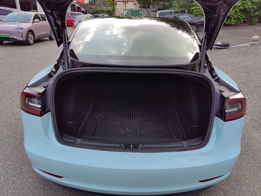 Tesla Model 3 2020 car image #11