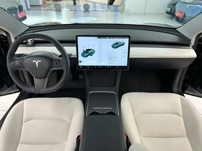 Tesla Model 3 2021 immagine di auto #8