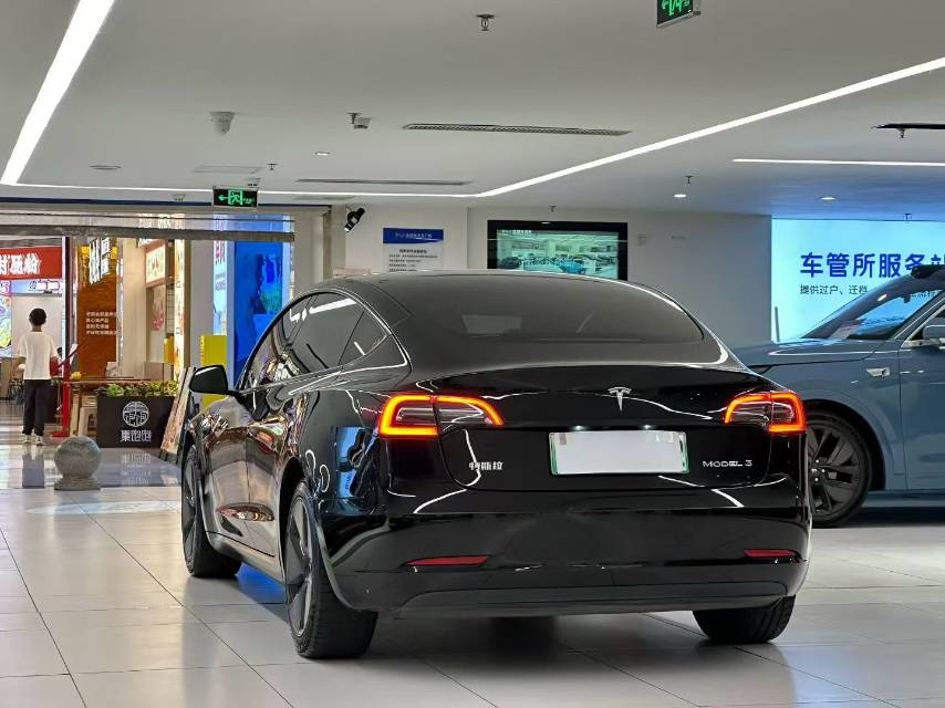Tesla Model 3 2021 immagine di auto #9