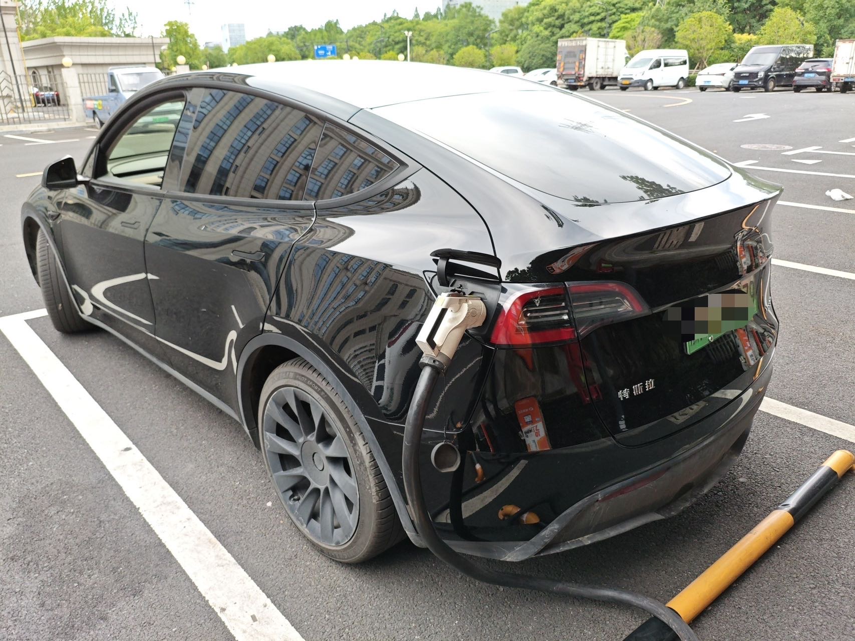 Tesla Model Y 2021 #10 Tesla Model Y 2021 car image #10
