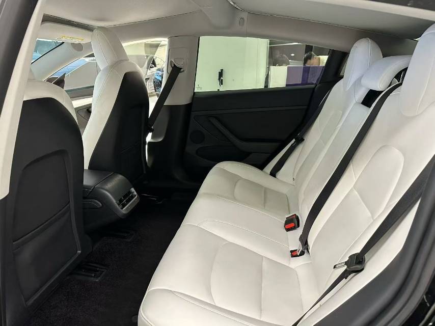 Tesla Model 3 2021 immagine di auto #7