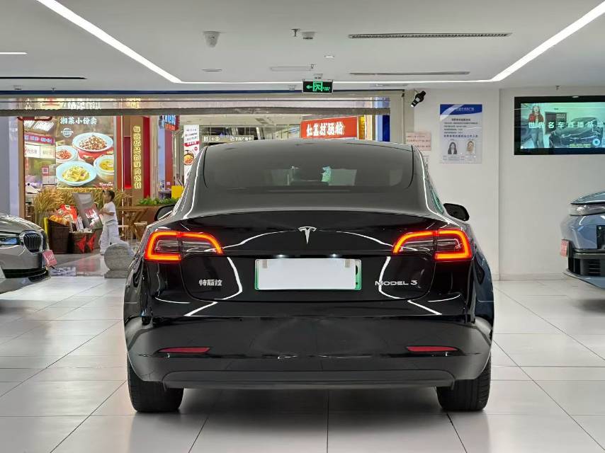 Tesla Model 3 2021 immagine di auto #11