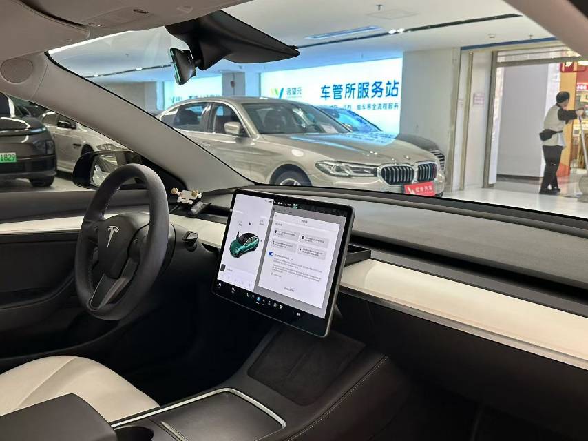 Tesla Model 3 2021 immagine di auto #10