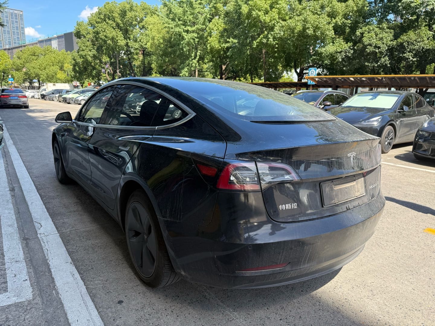 Tesla Model 3 2020 car image #10