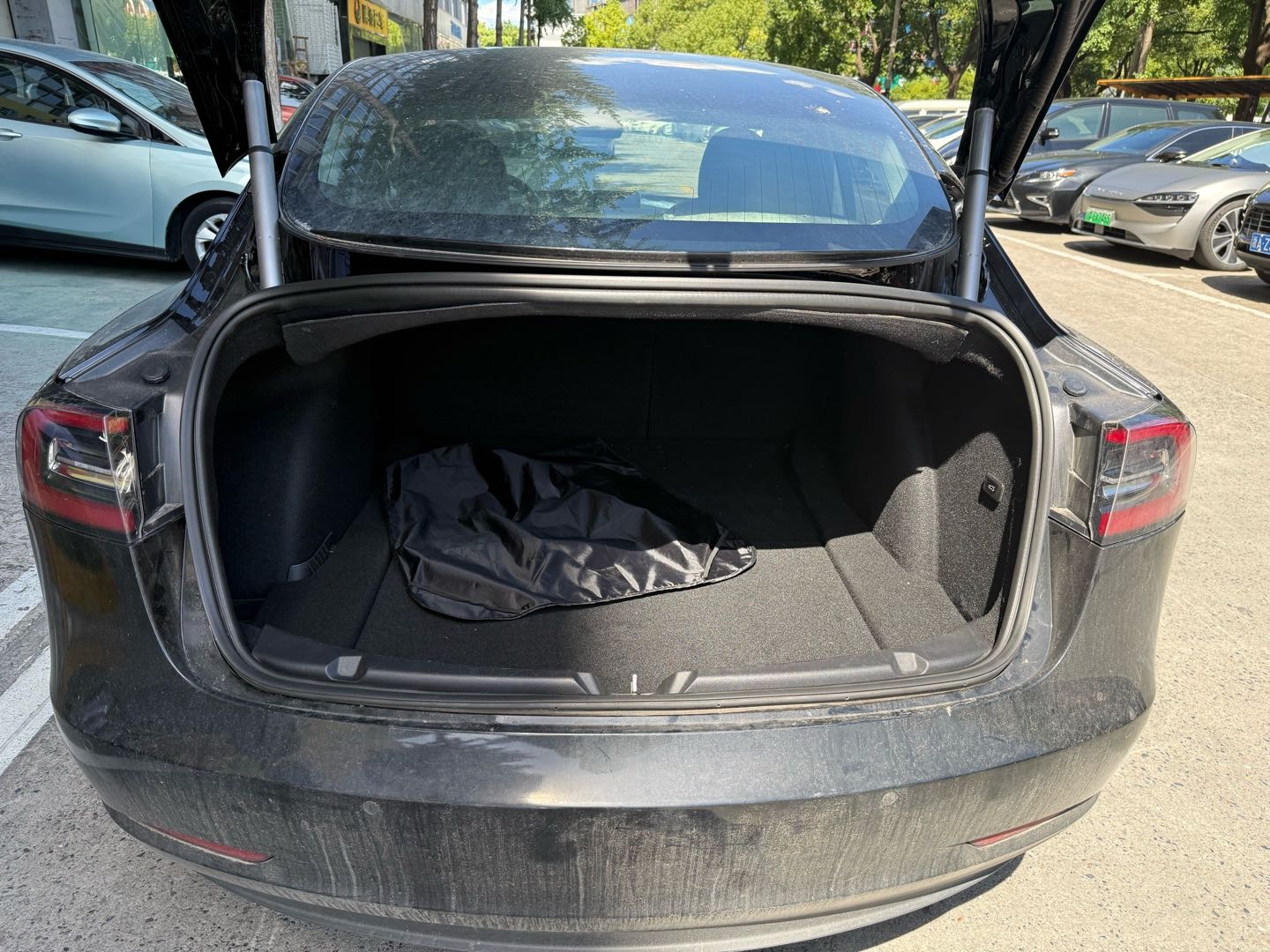 Tesla Model 3 2020 car image #8