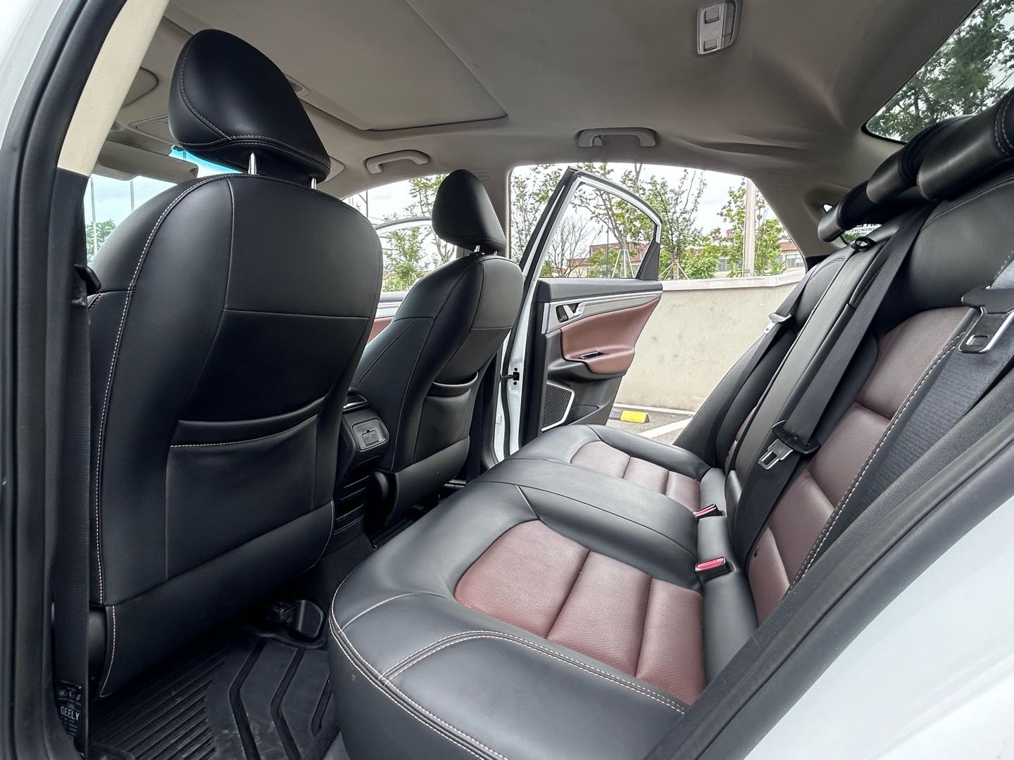 2019 #8 2019 car image #8