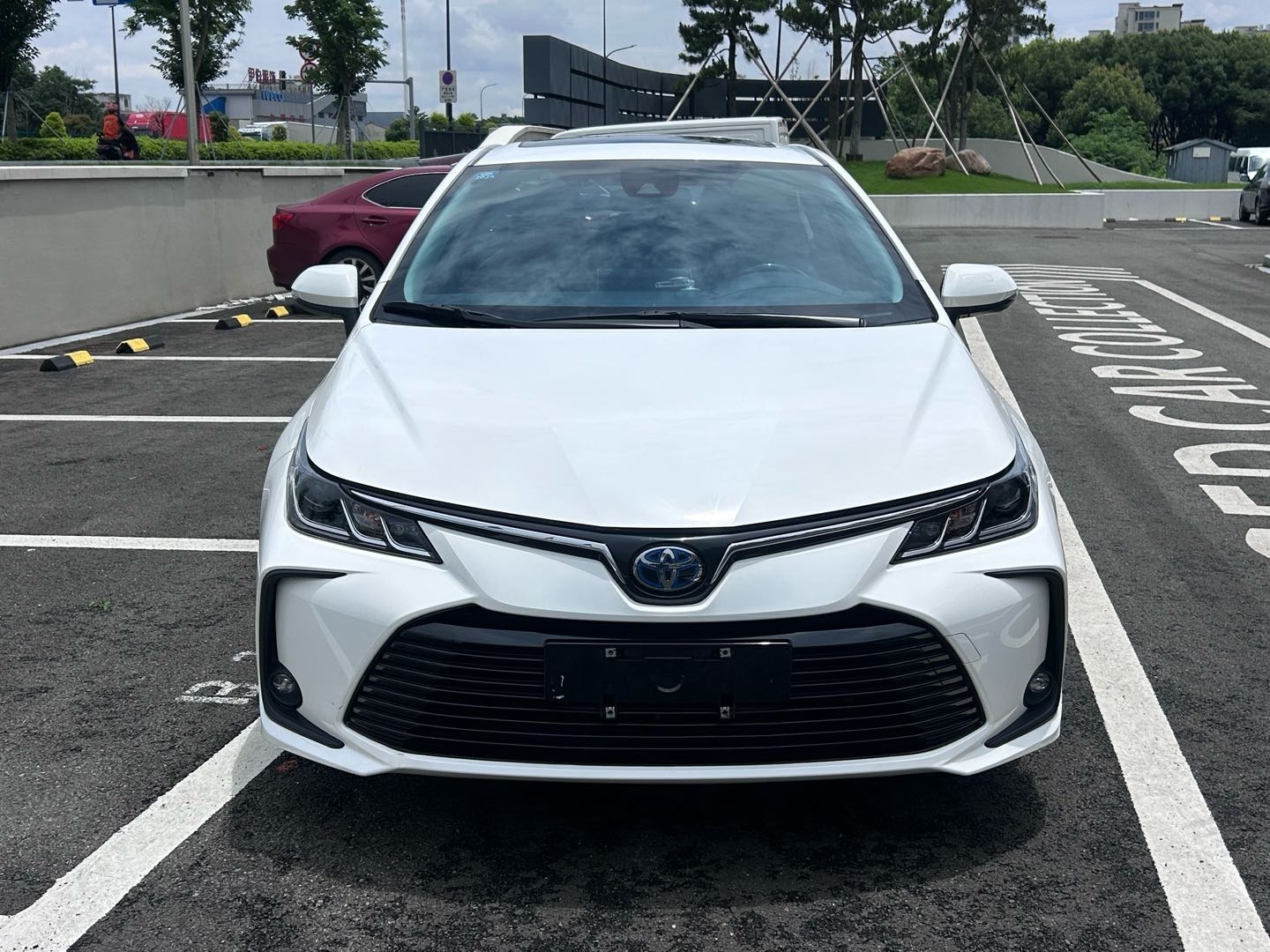 Toyota Corolla 2022 car image #5