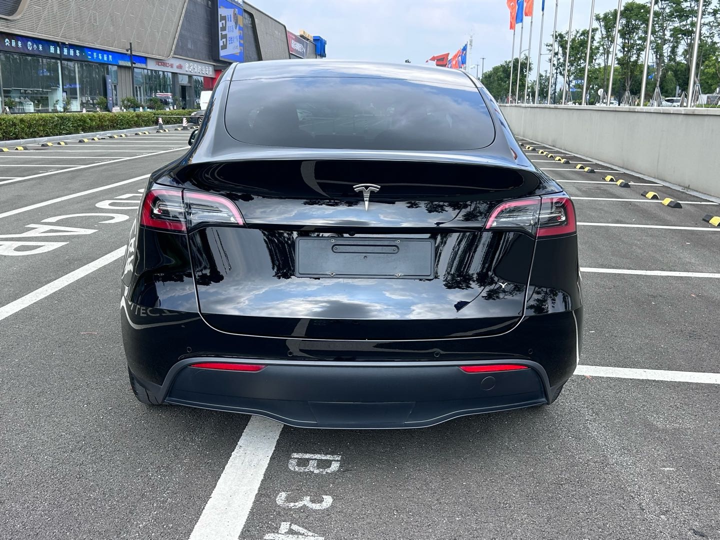 Tesla Model Y 2023 #11 Tesla Model Y 2023 car image #11