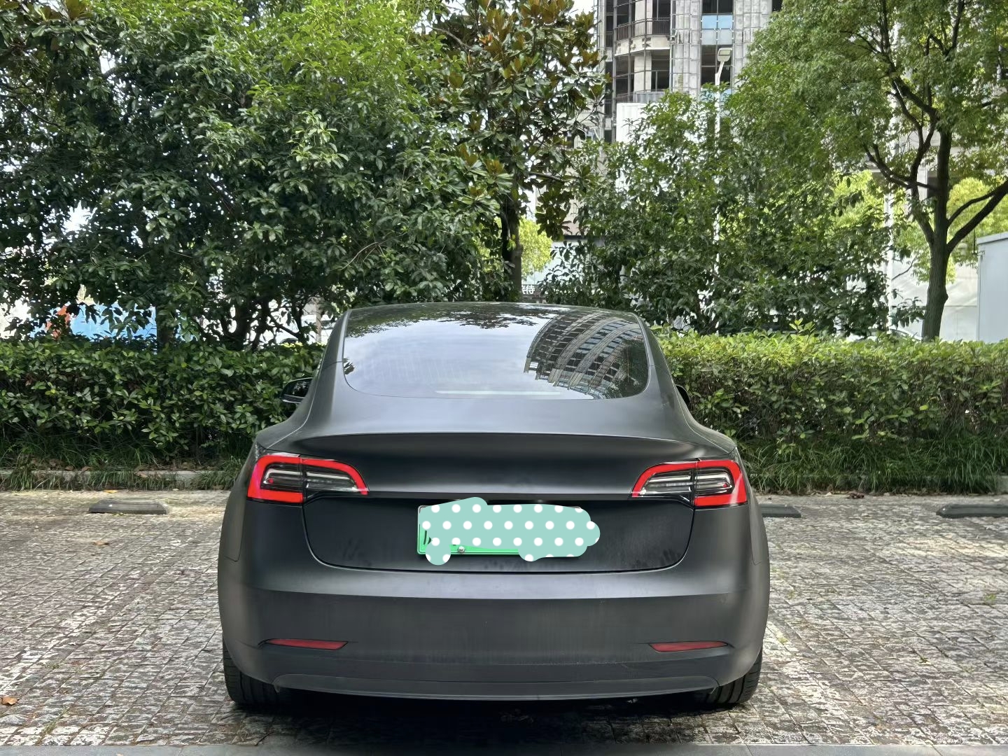 Tesla Model 3 2020 #6 Tesla Model 3 2020 car image #6