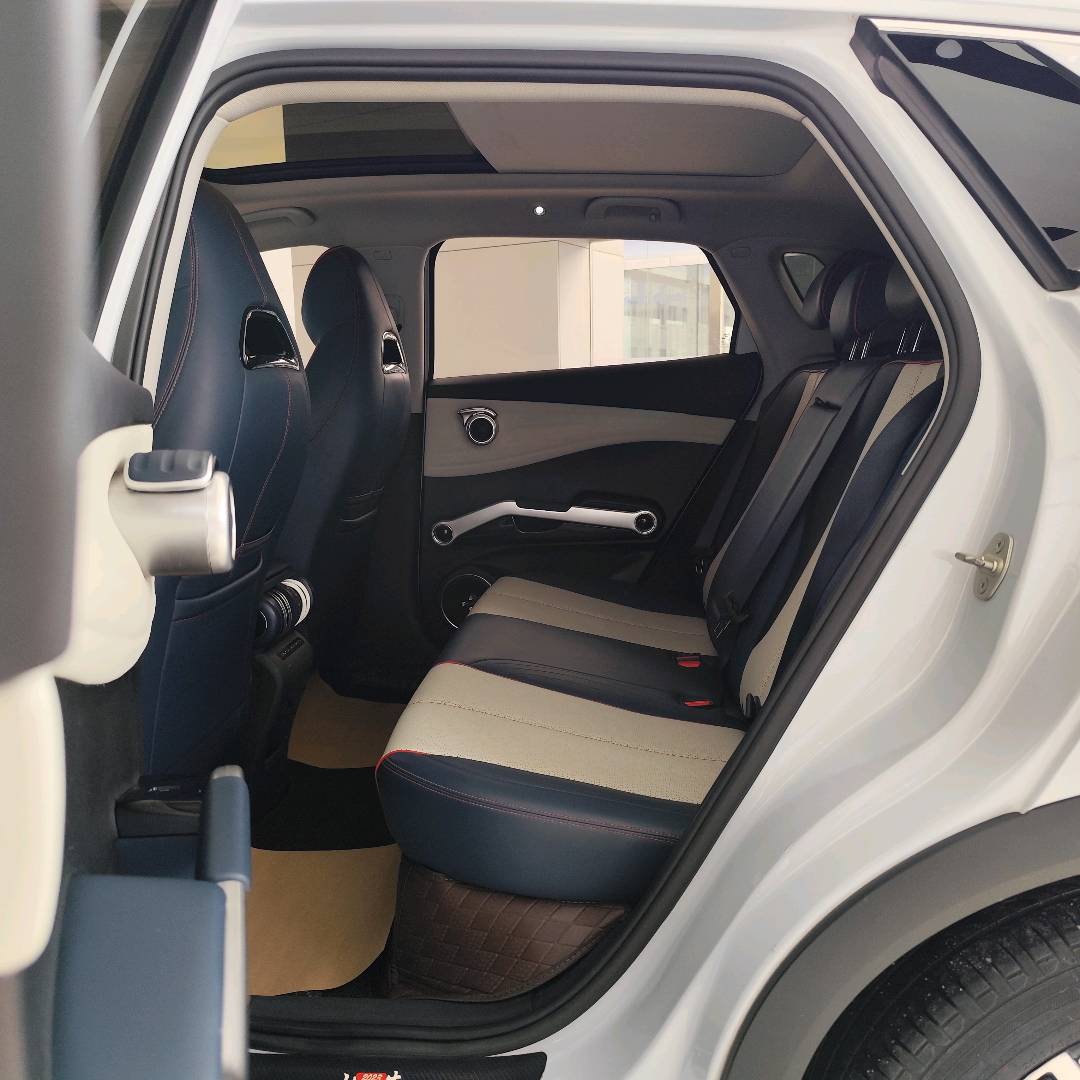 BYD Yuan Plus 2023 car image #9