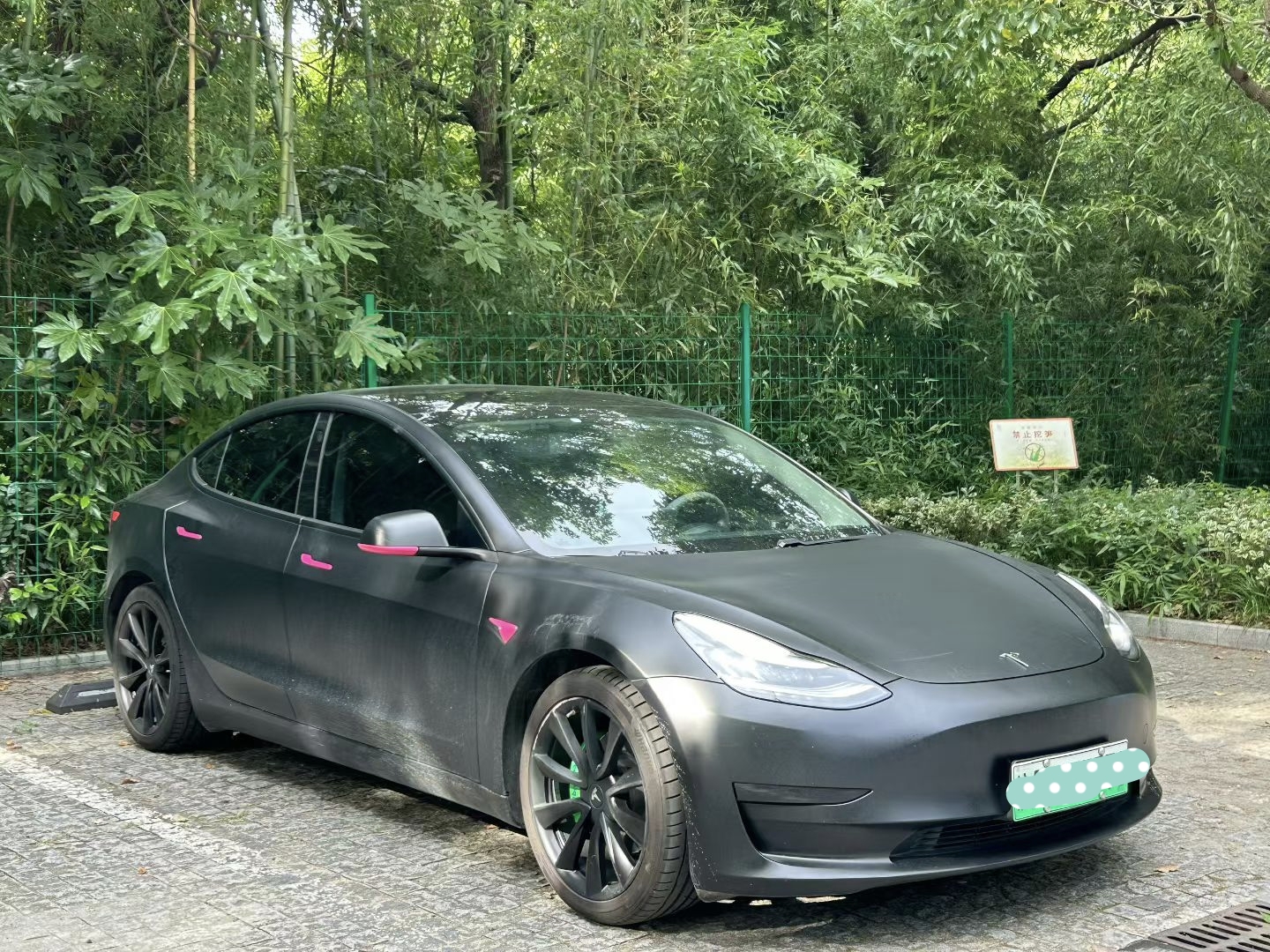 Tesla Model 3 2020 #4 Tesla Model 3 2020 car image #4
